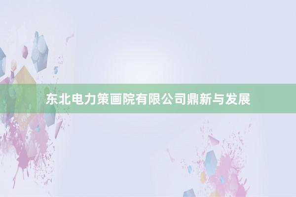 东北电力策画院有限公司鼎新与发展