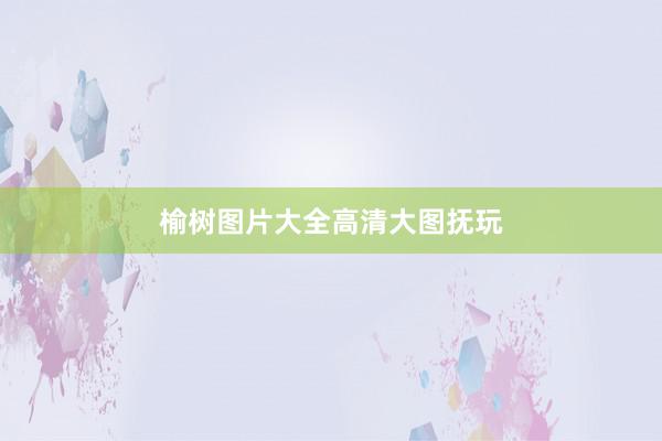 榆树图片大全高清大图抚玩