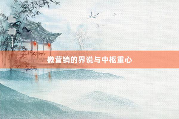 微营销的界说与中枢重心